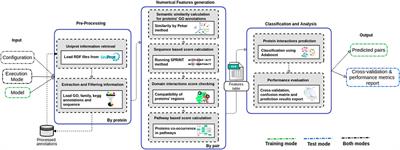 Large-Scale Protein Interactions Prediction by Multiple Evidence Analysis Associated With an In-Silico Curation Strategy